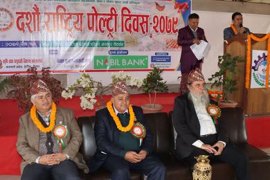 सन्दर्भ राष्ट्रिय पोल्ट्री दिवस : व्यवसायी भन्दछन् ‘हाम्रो समस्या सुन्ने र बुझ्ने कोही भएनन्’